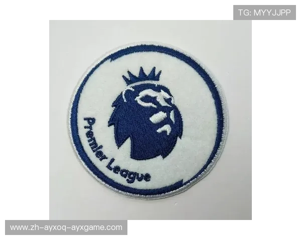 英超球衣臂章类型及官方认证图样 英超球衣臂章类型及官方认证图样